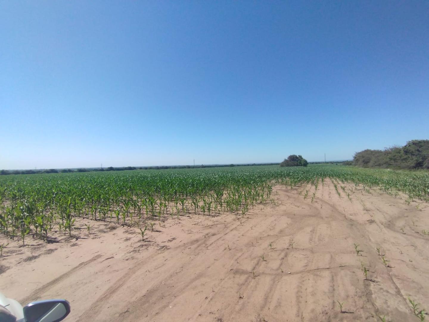 Auto Via Calamuchita