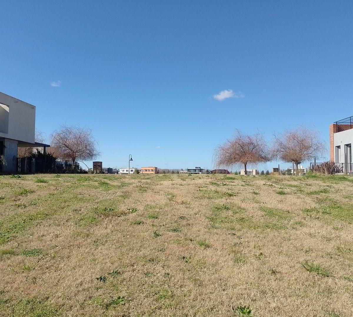 Ruta Provincial N° 25 1000