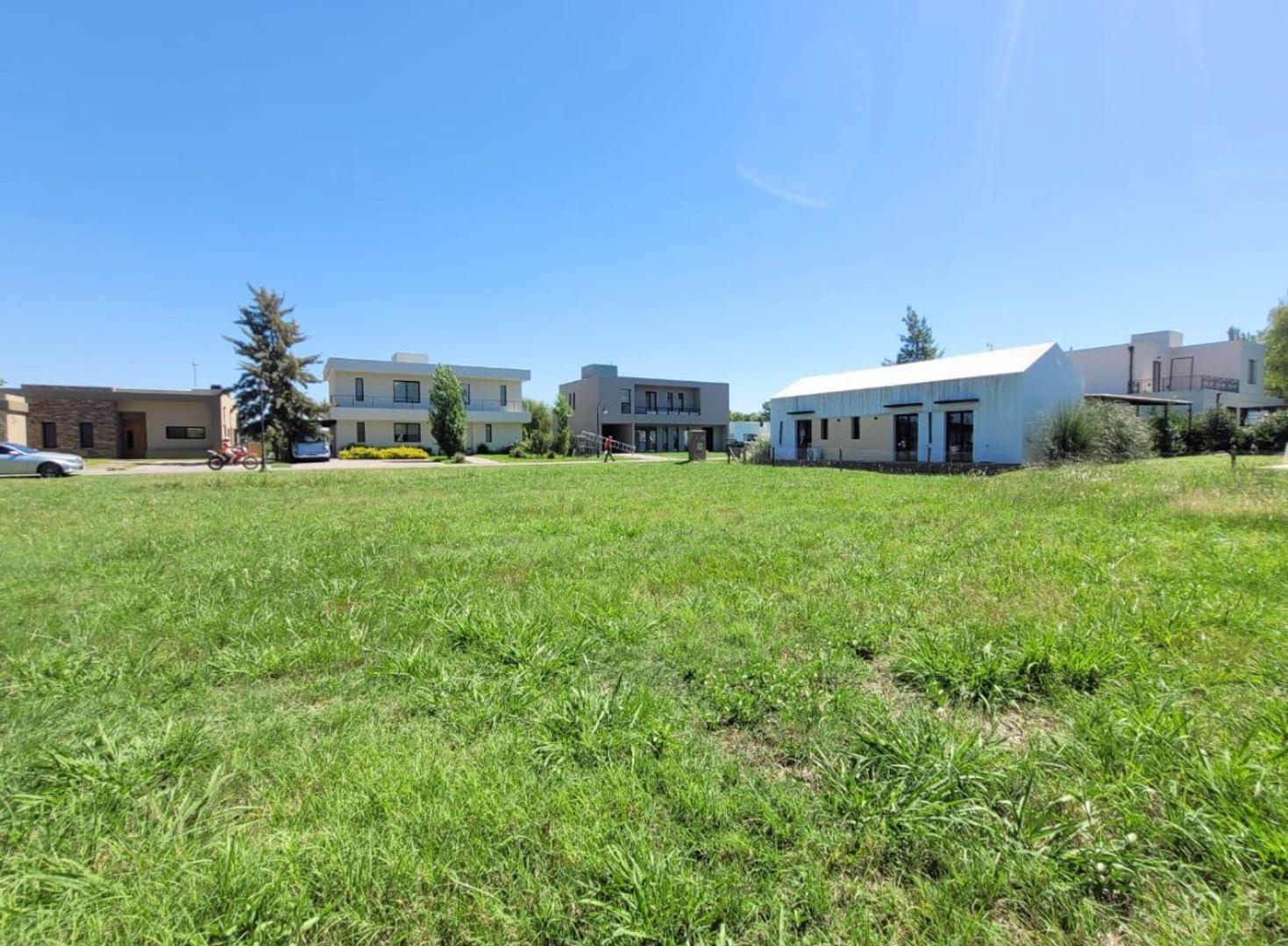 Carola Lorenzini 4651