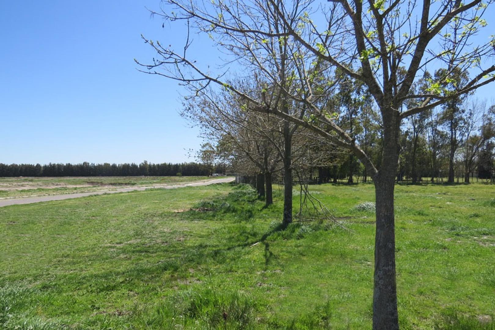 Lote en Venta Canning Barrio Santa Inés-ETAPA 1