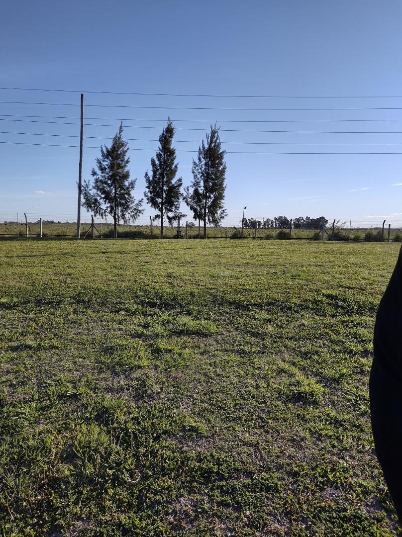 Ruta 58, Km 16 San Lucas Canning