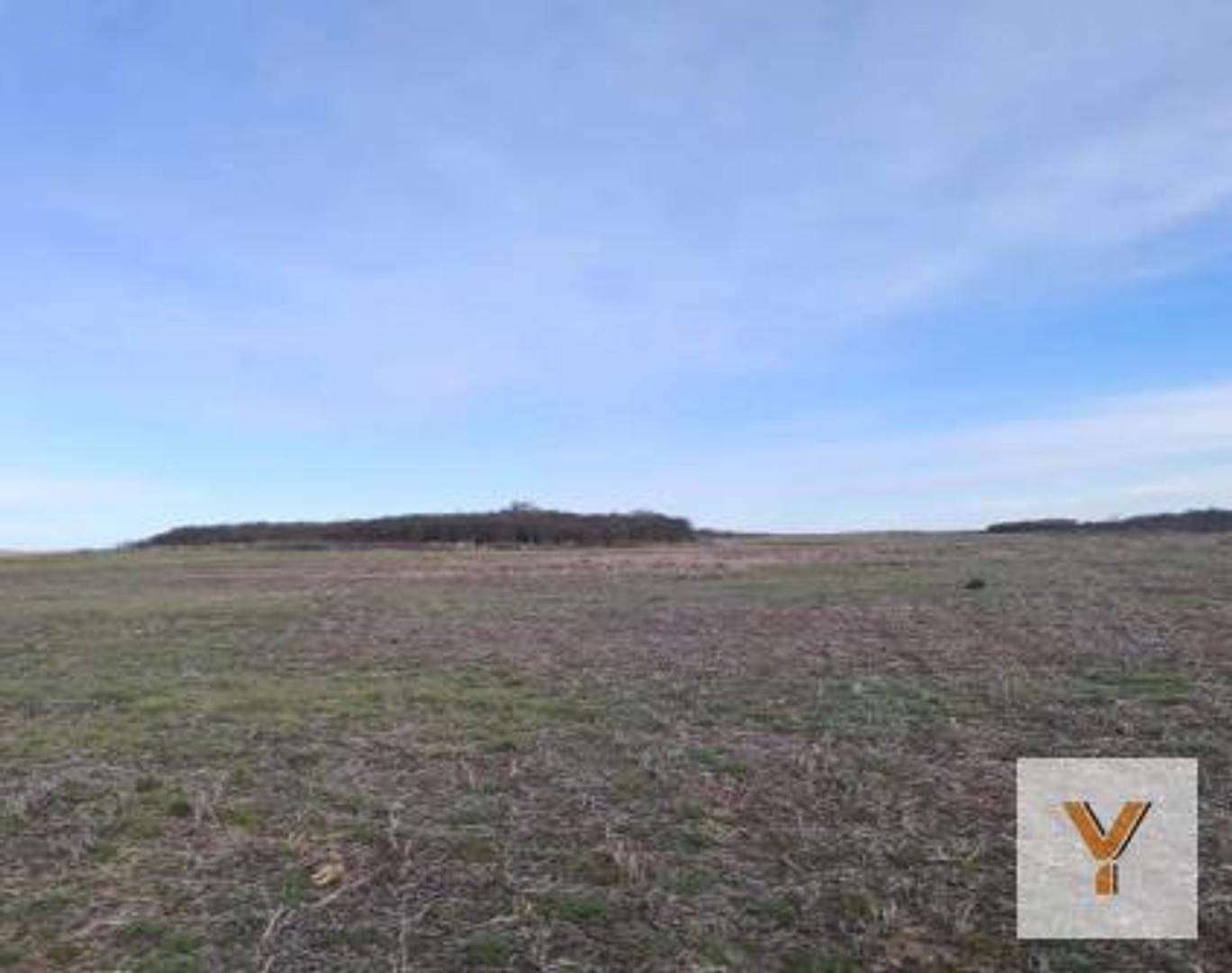Campo en venta - 940 Hectáreas - San Luis