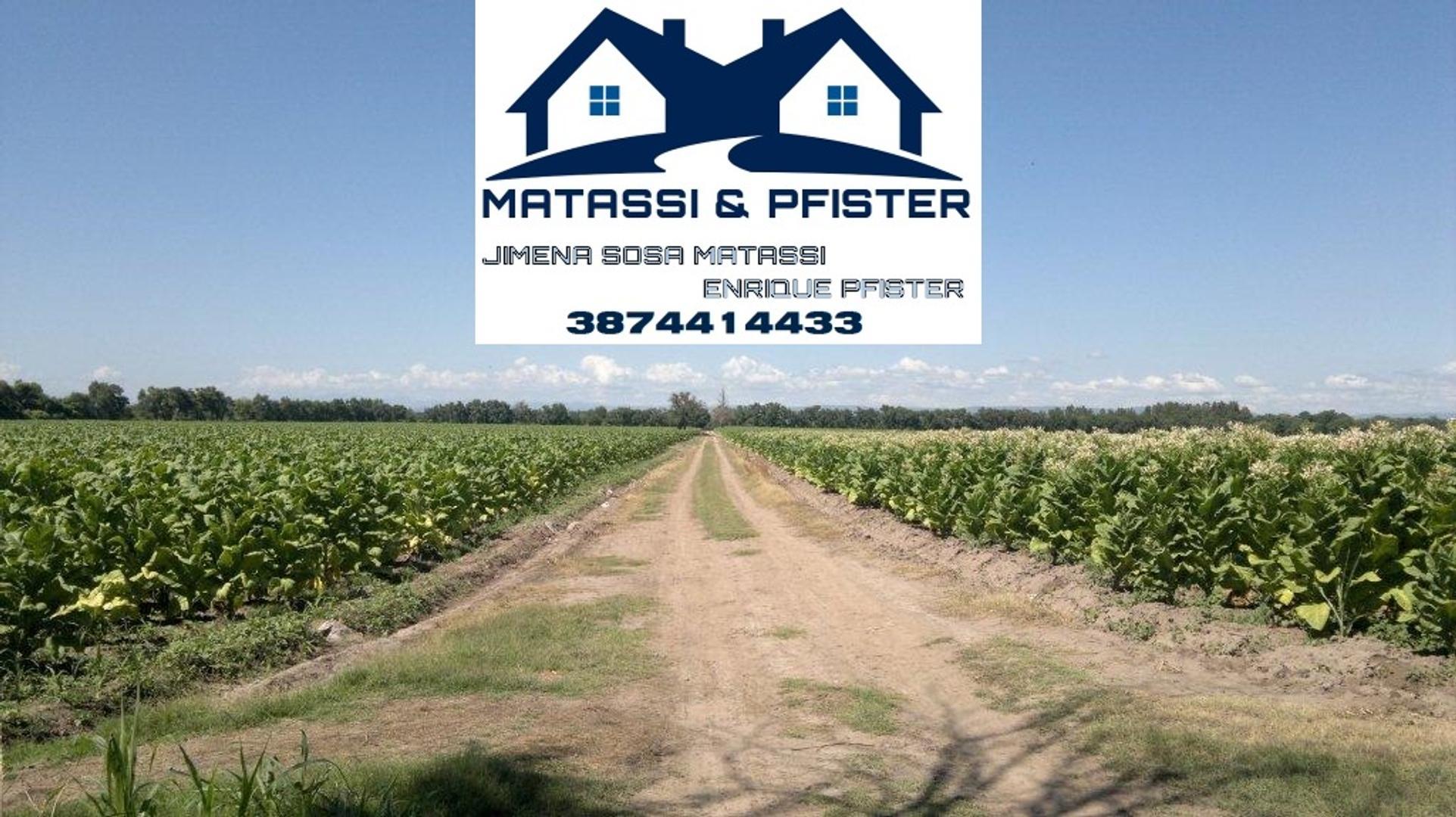 Campo Productivo Pampa Blanca Jujuy