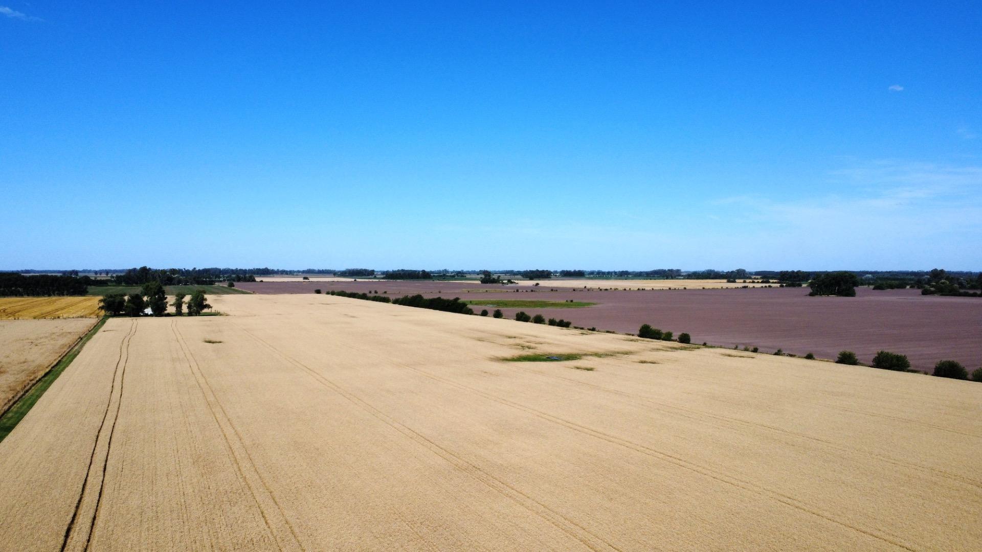 Venta 5 Hectáreas Carlos Keen (cerca de Emilio Mitre)