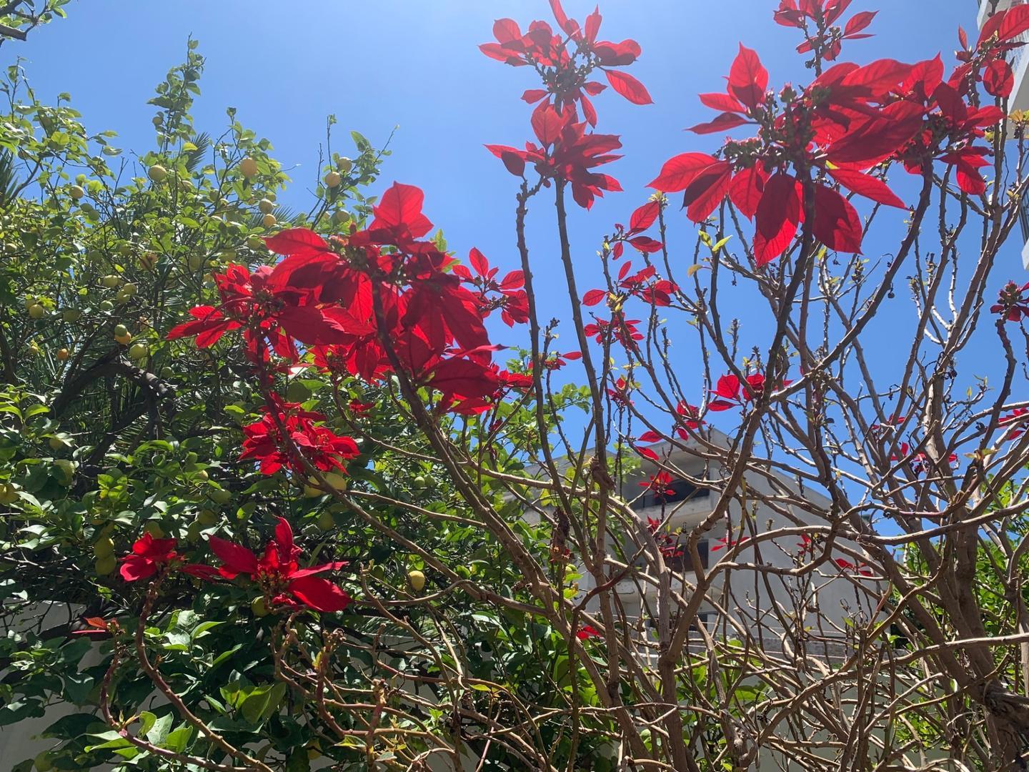 Departamento en Venta en Villa Urquiza, USD 219.000