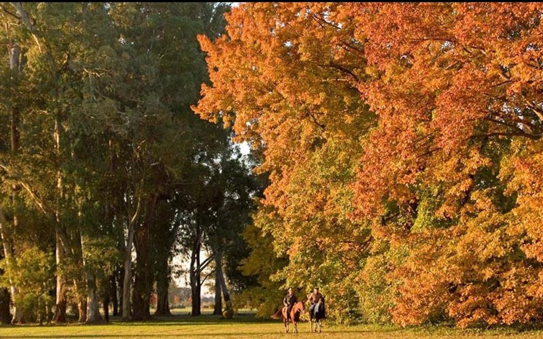 Estancia Villa María Equestrian & Golf Estates