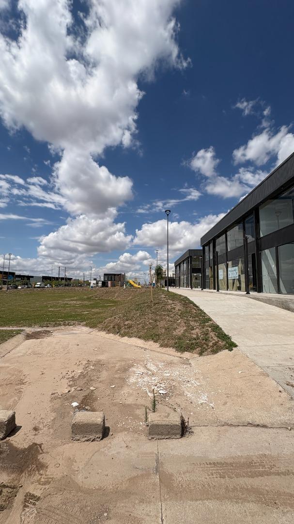 Docta Avenida Malagueño