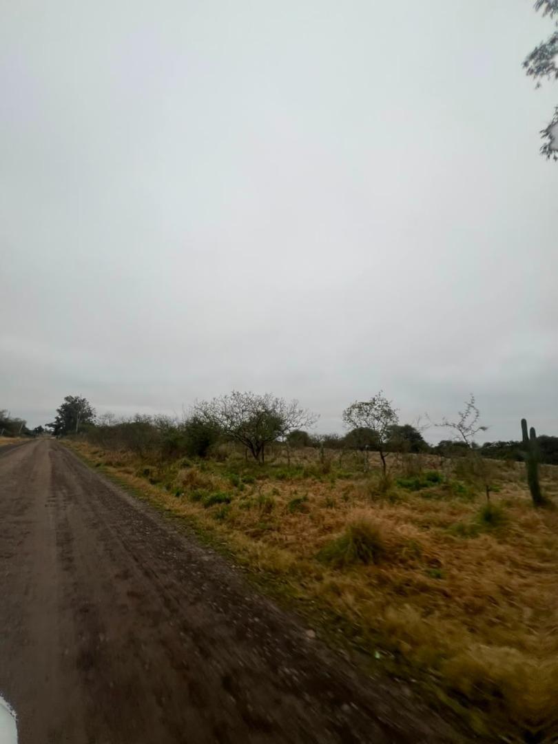 Ruta Provincial 57 Sauce