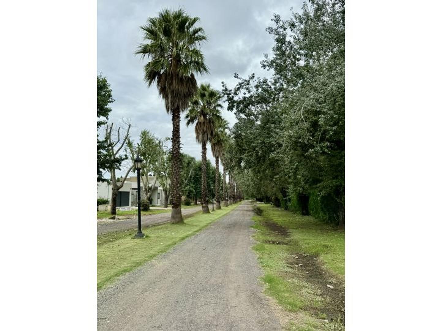 Terreno en Venta 20  mts Frente