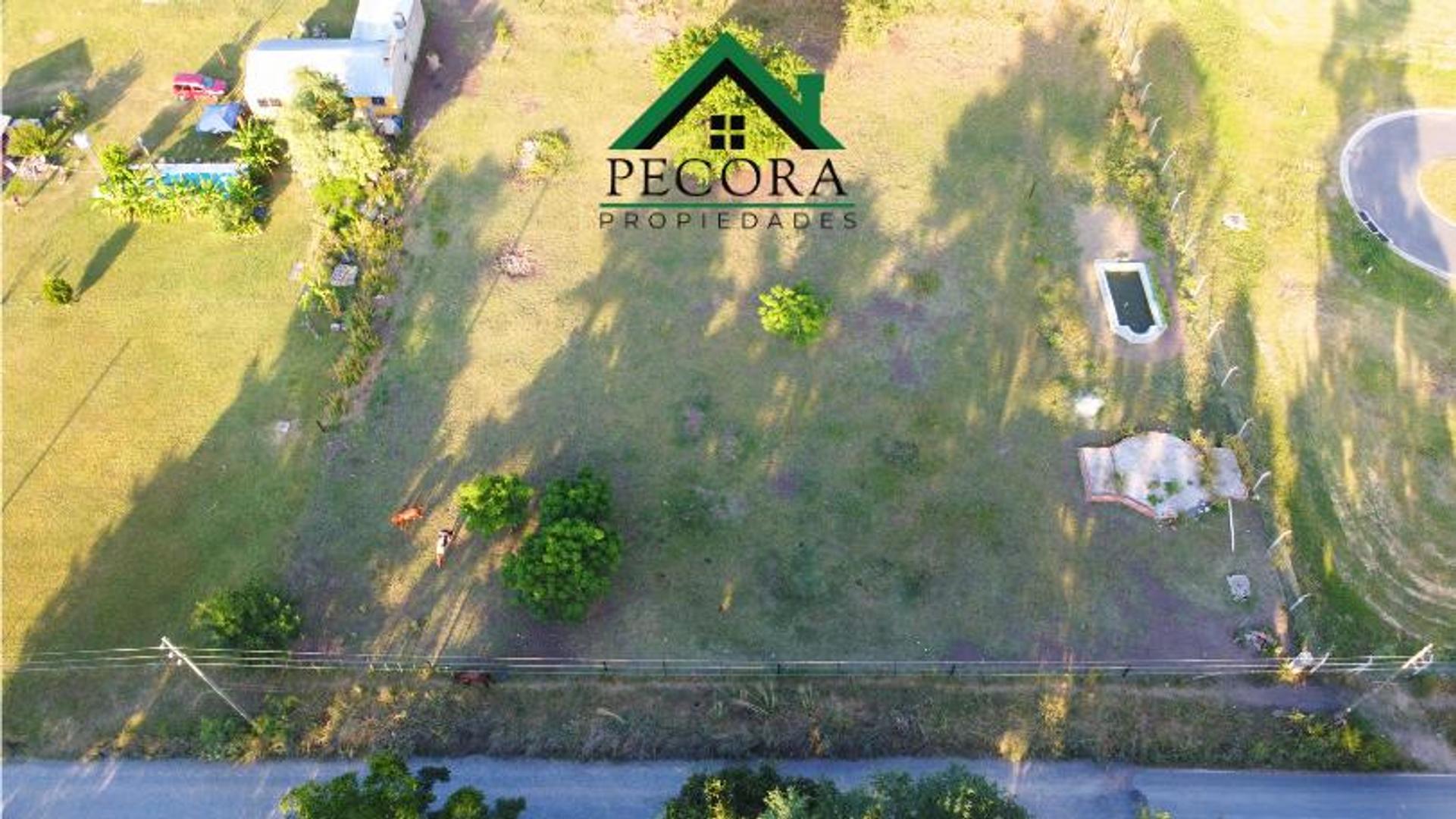 Terreno en Venta en Pilar Centro, USD 55.000