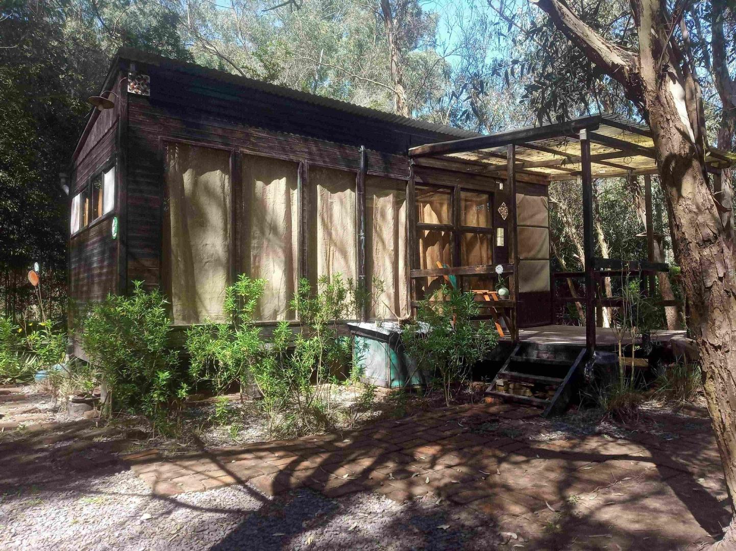 Gran Lote - Importante Forestación