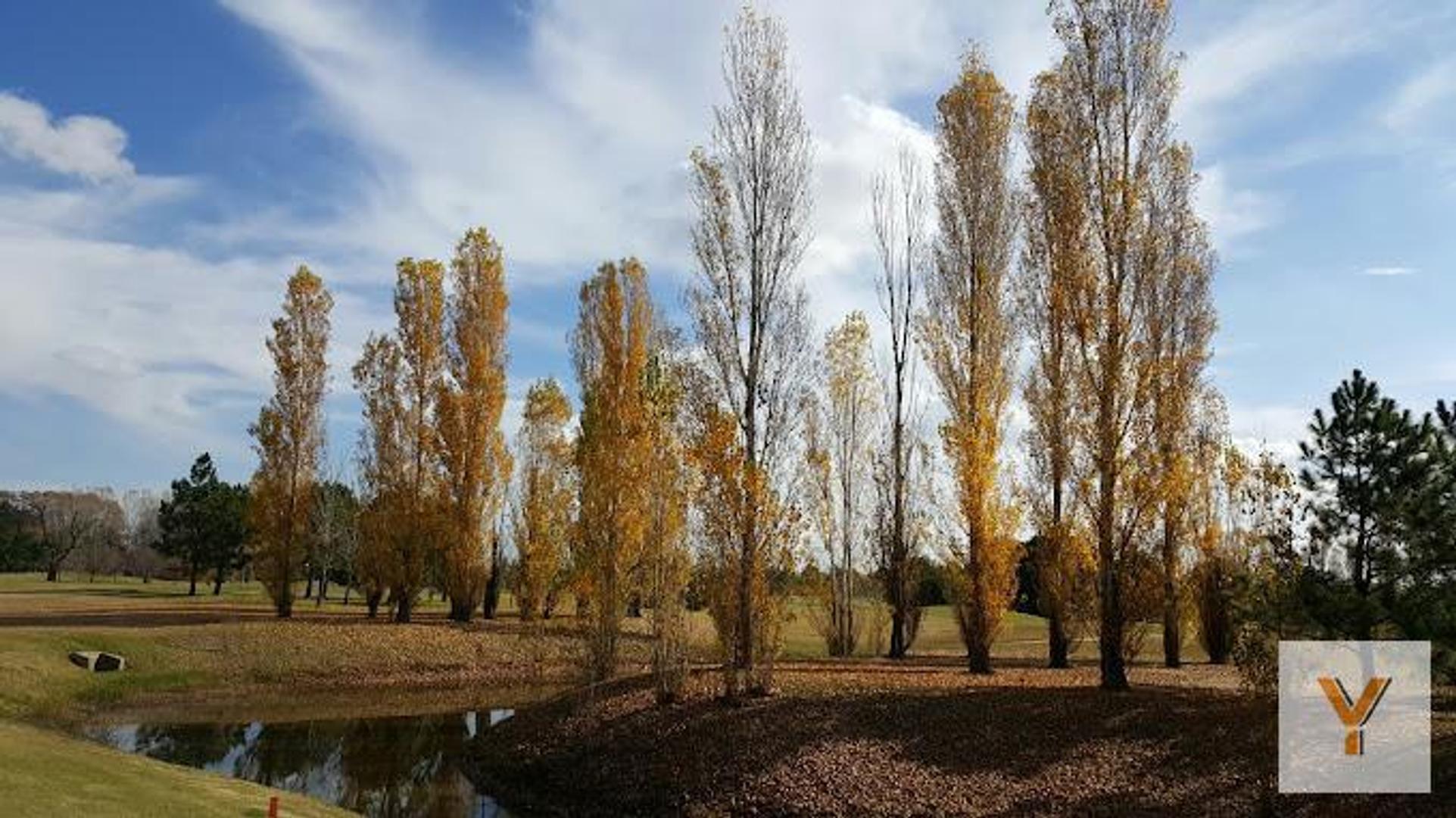 Club de Campo Las Cañuelas