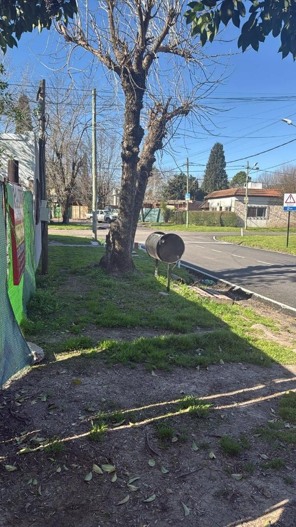 Lote De Vicenzo Grande C.11110