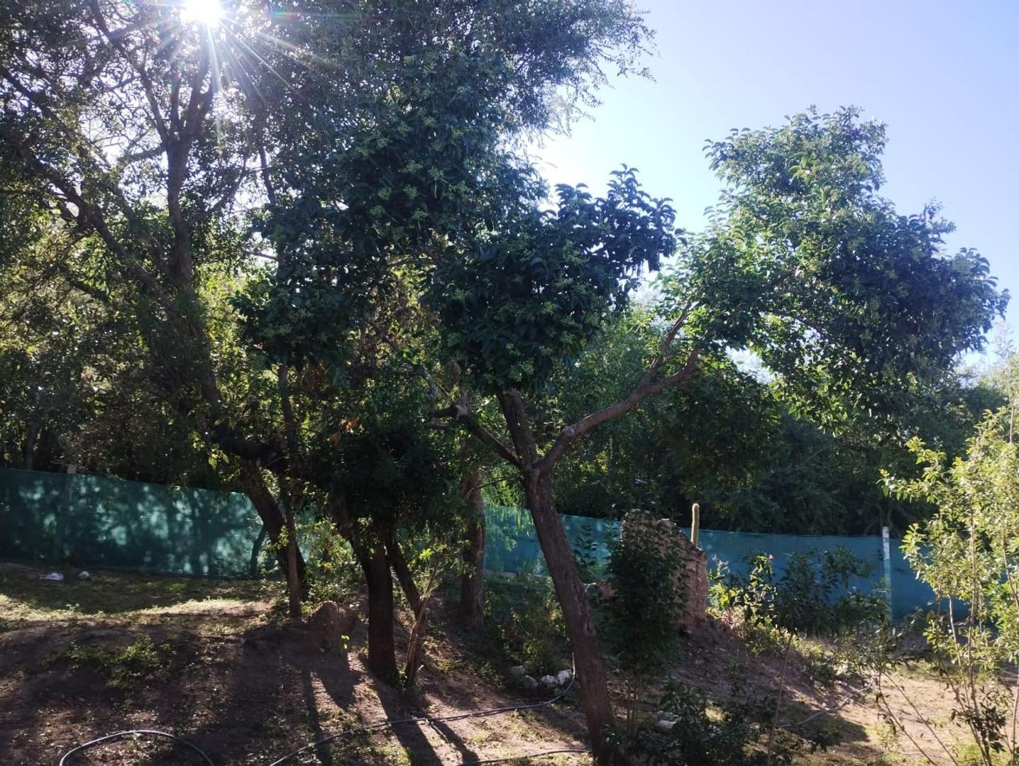 CASA CRUZ DE CAÑA CORDOBA