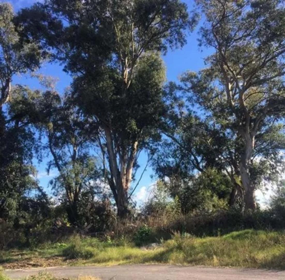 Terreno en Venta en San Juan Chico, USD 65.000