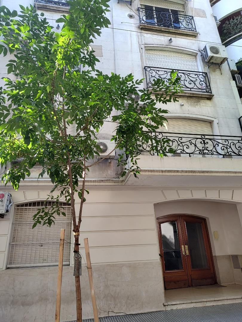 DEPARTAMENTO DE DOS AMPLIOS AMBIENTES