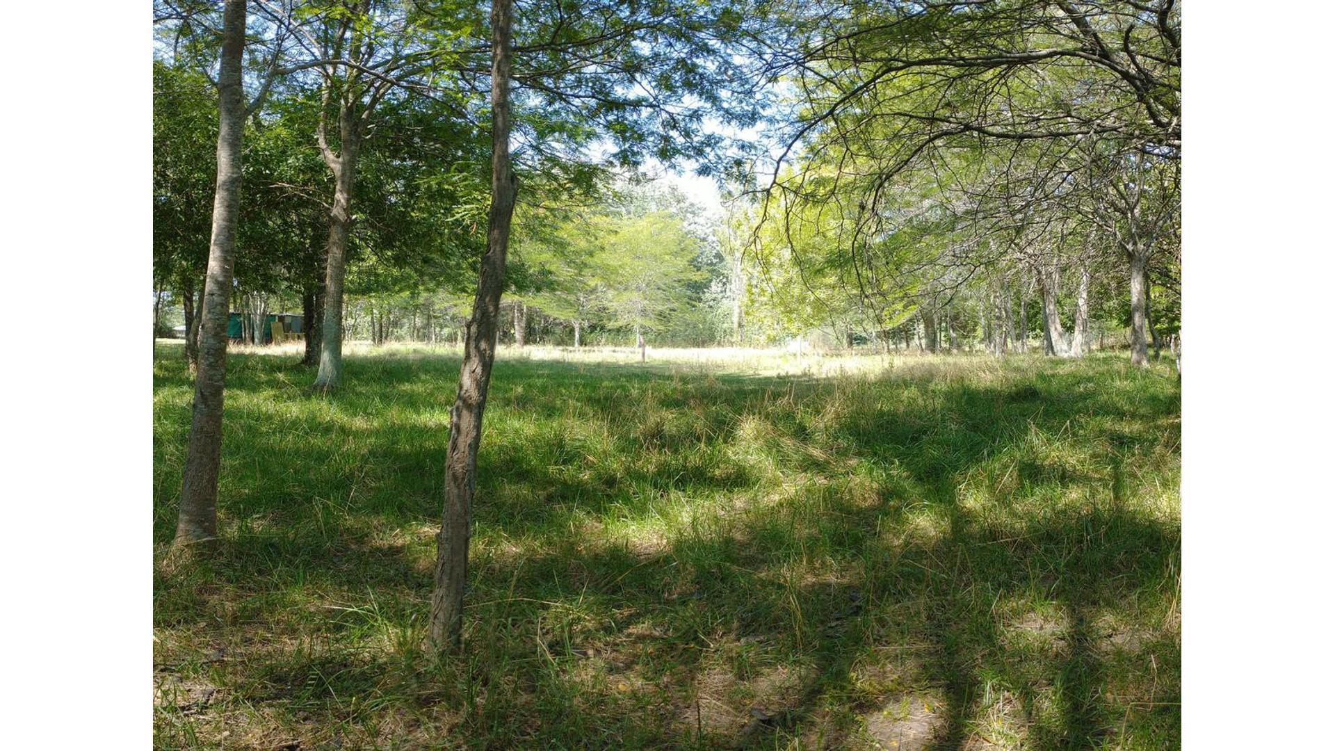 Vivienda Conteiner sobre amplio lote - Plomer. L20062