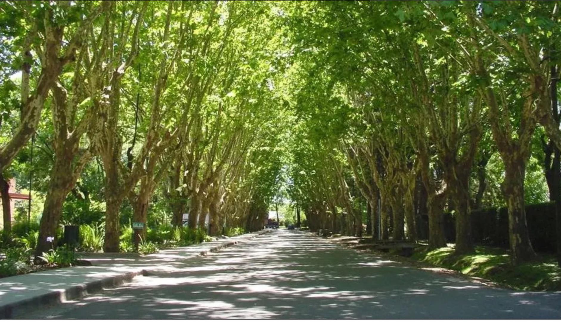 Highland Park Cc Lote 500