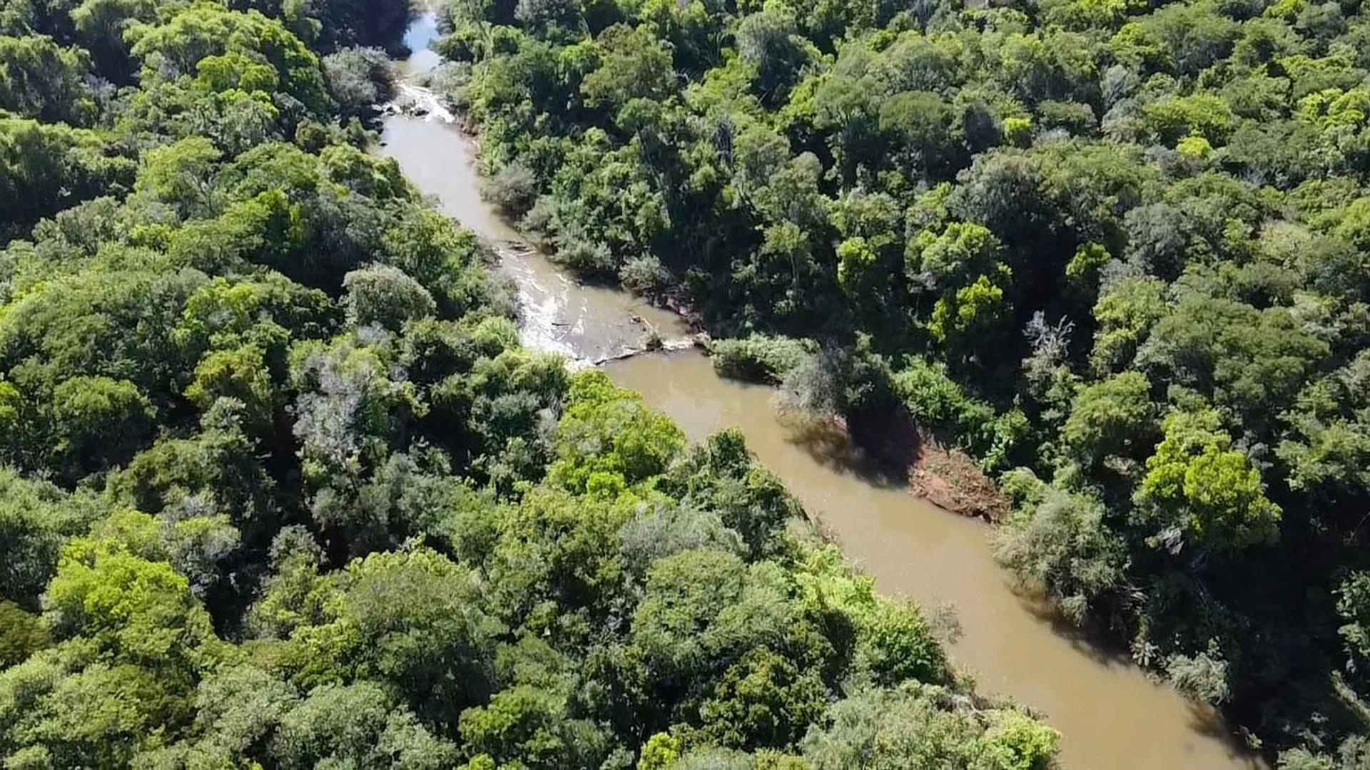 ESPECTACULAR  CHACRA  60 HAS con Arroyo