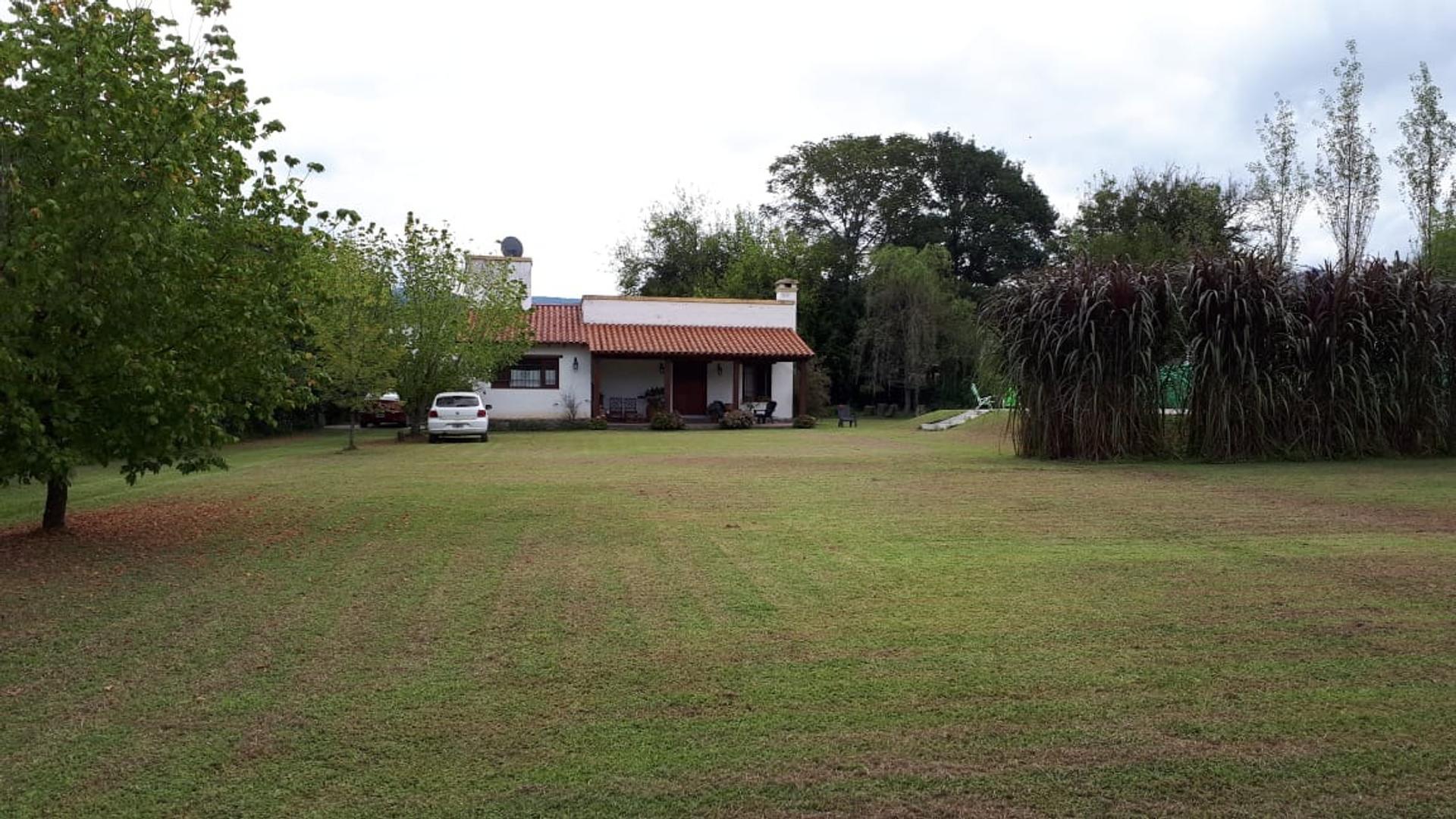 Los Helechos Y Los Crespones -