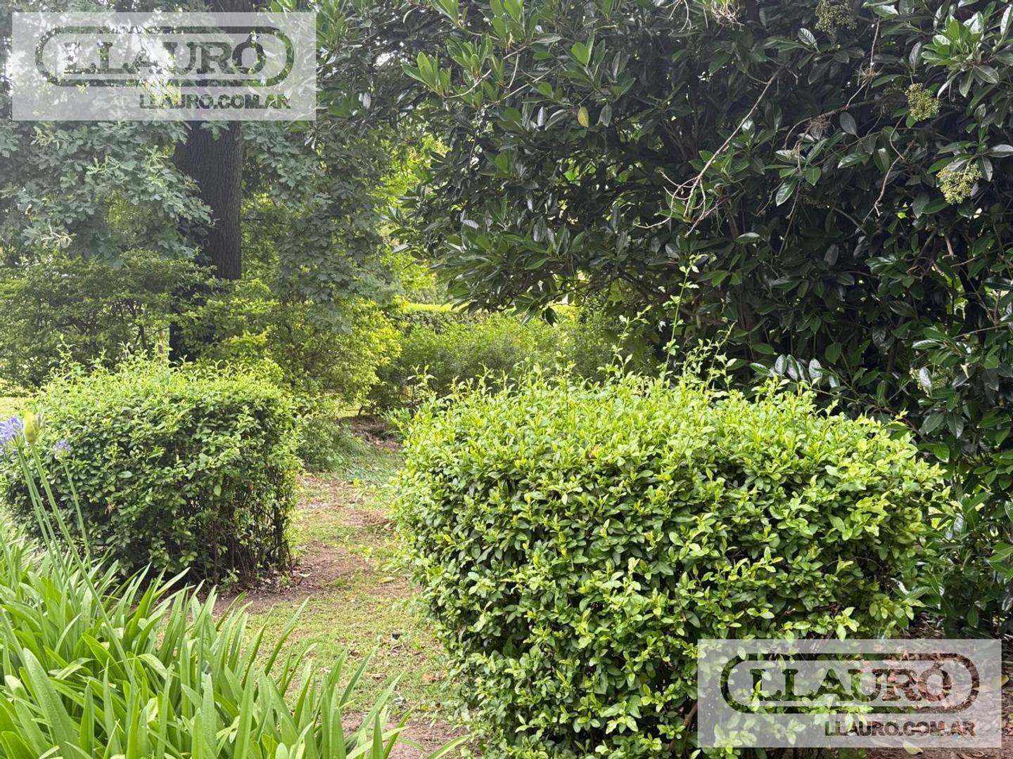 Marcelino Champagnat al 700