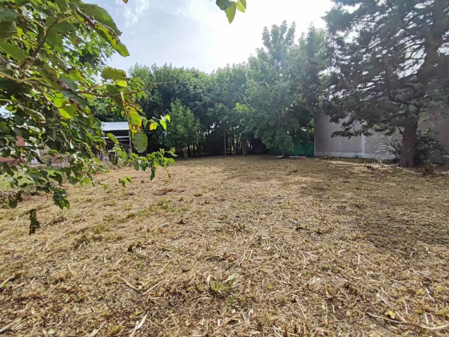 Lote en Los Pioneros