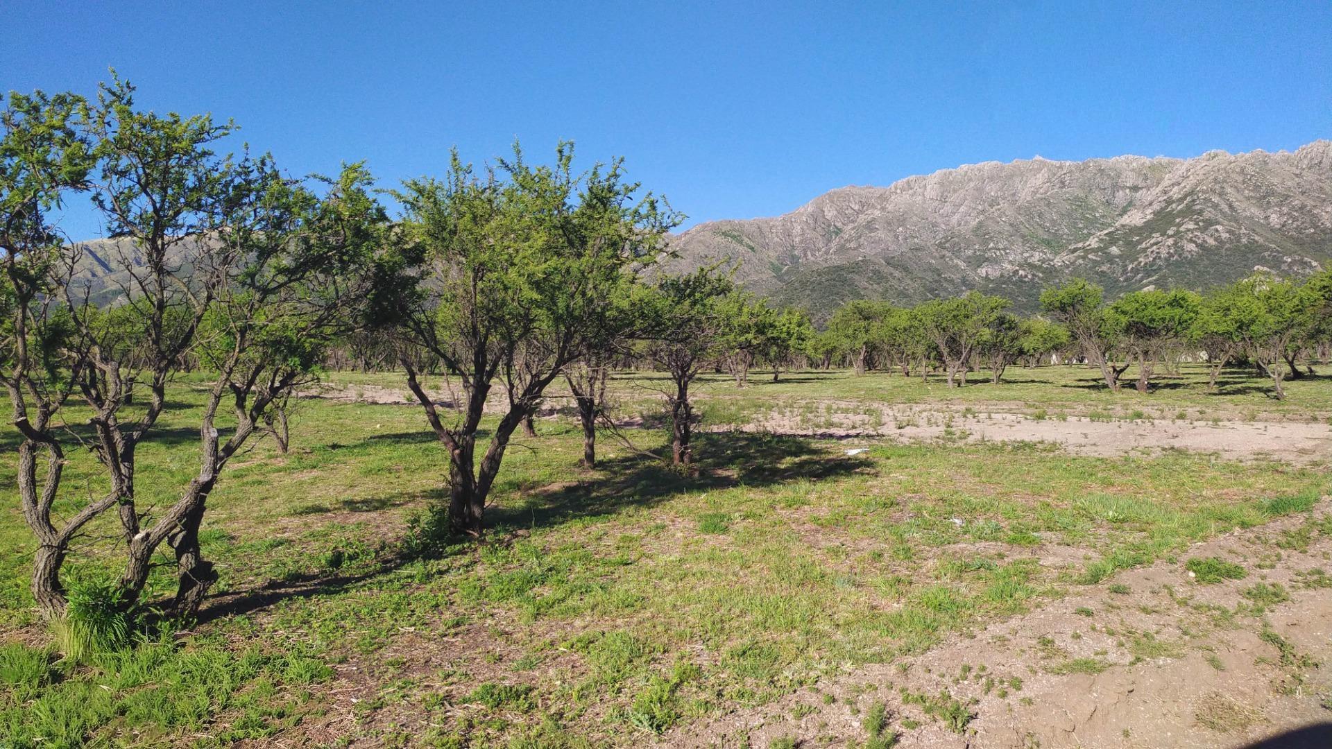 Terreno en Venta, FOS 20