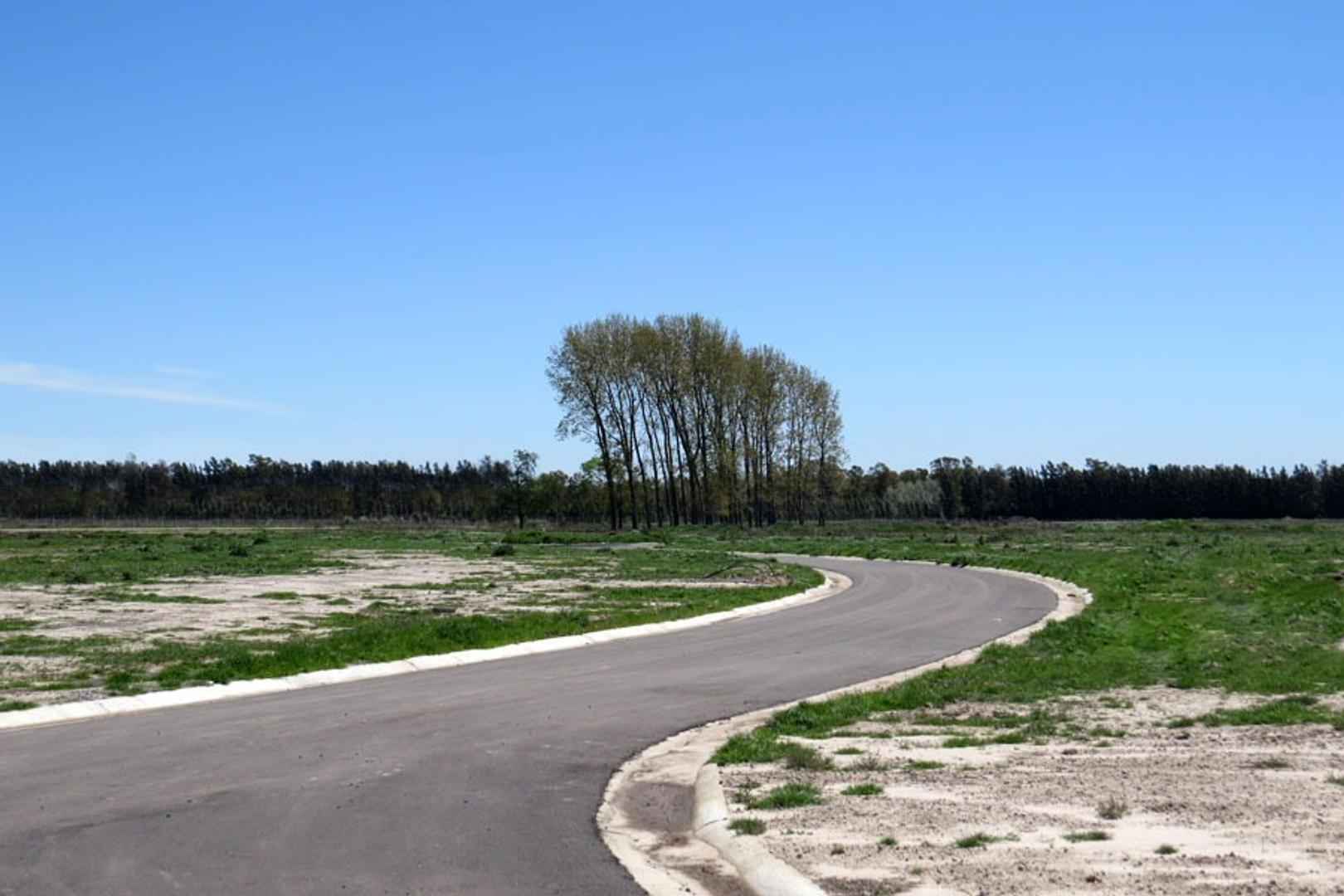 Terreno en Venta de 823,0 m2