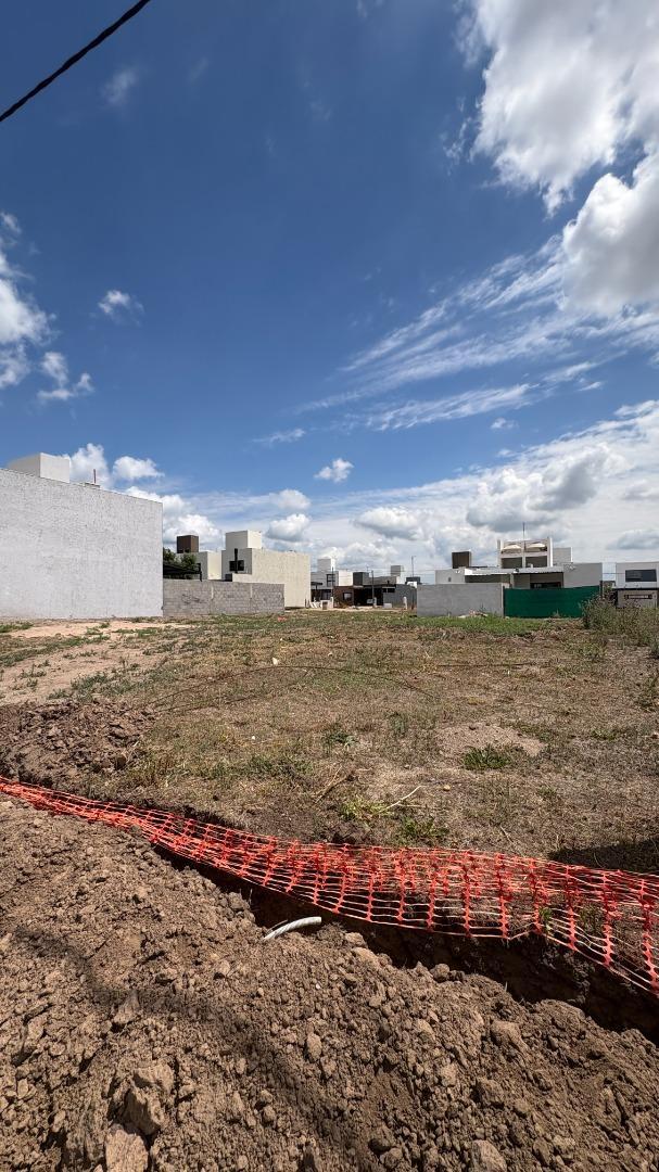 Docta Avenida Malagueño