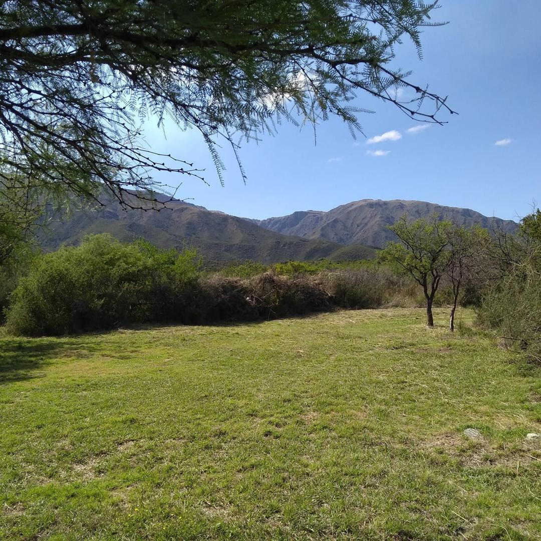 1.5 Hectáreas en Los Molles SL