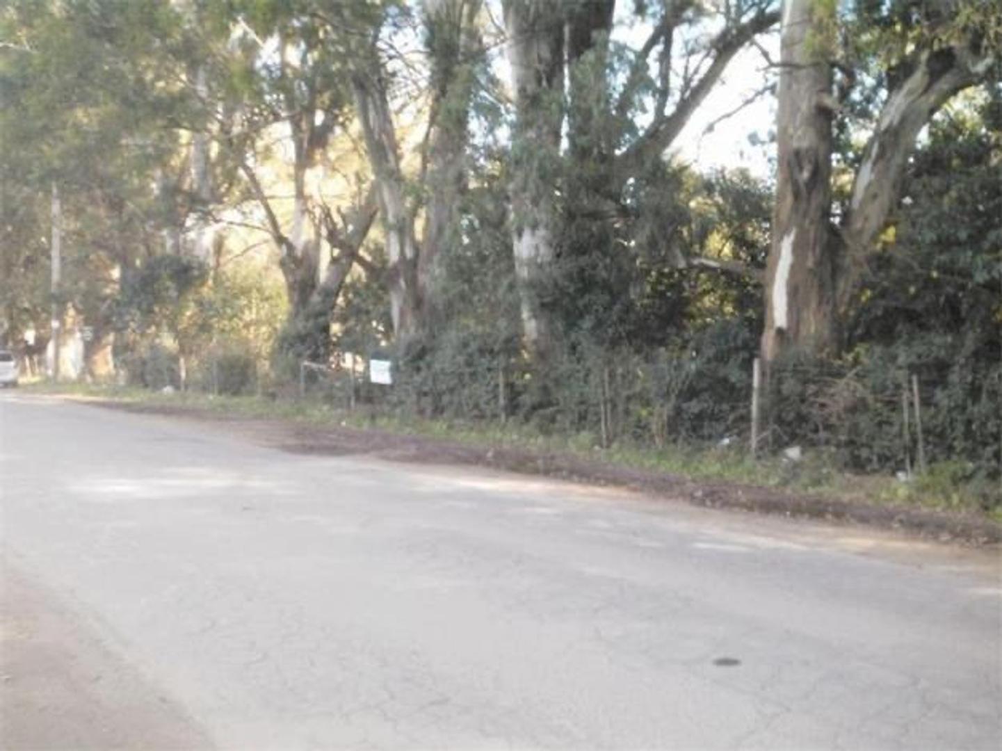 LOTE DE TERRENO "EN VENTA" EN LOMA VERDE