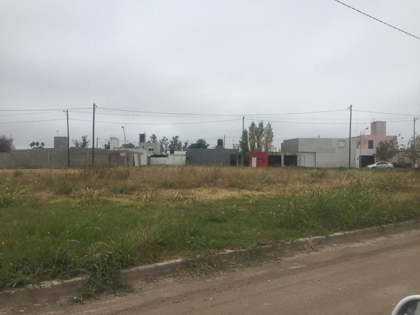 Av Brigadier Bustos 1300