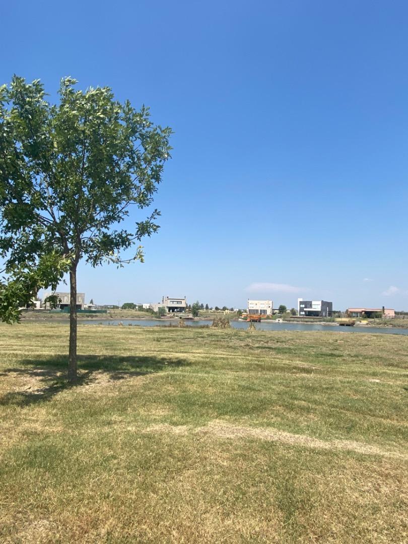 Terreno en Venta de 966,0 m2