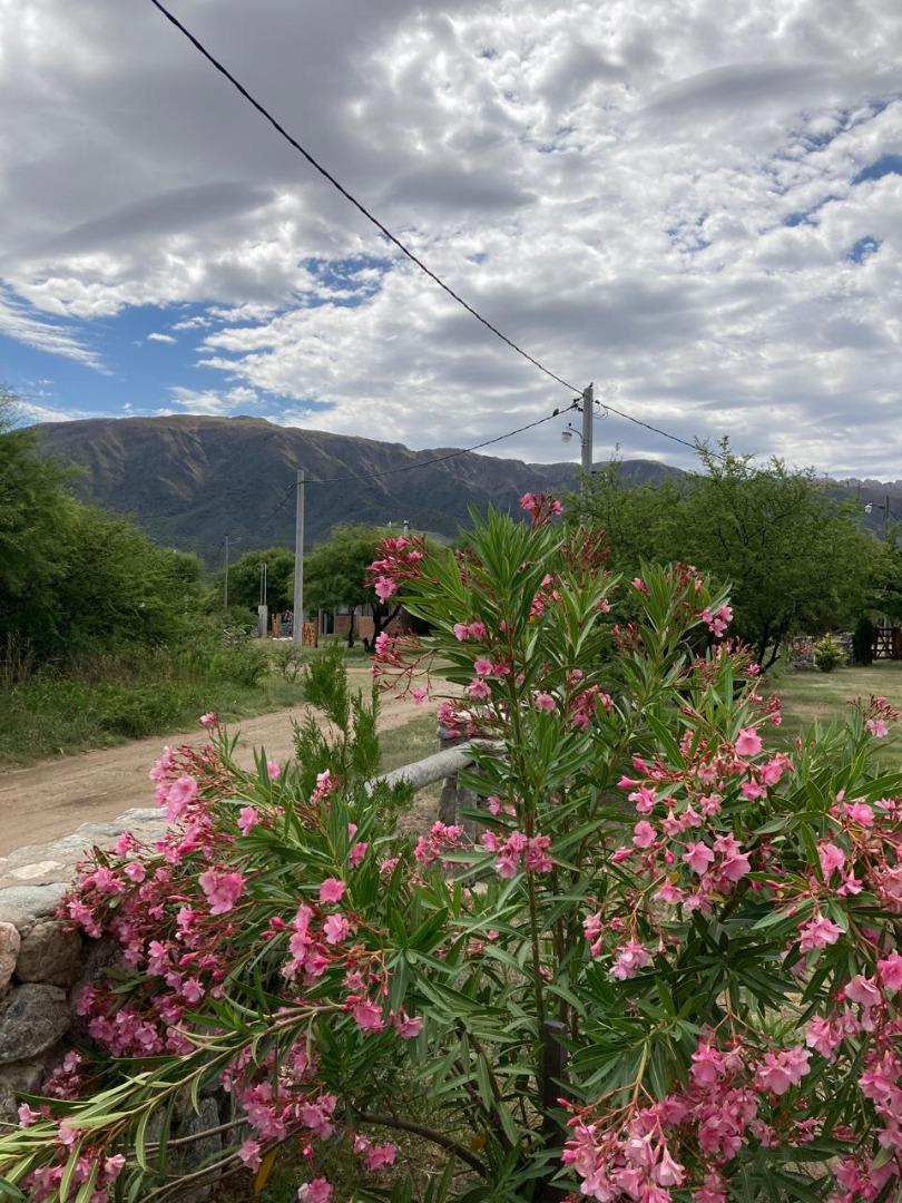 Complejo de cabañas en San Luis- Localidad Cortaderas