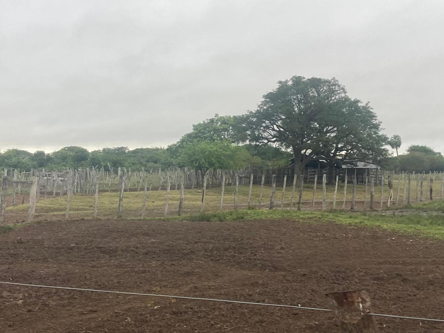 Campo Paraje Malvinas (Corrientes) - 949 has.