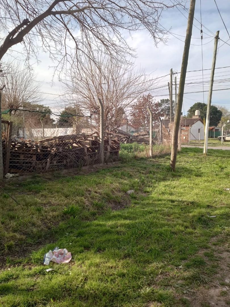 Consejal Hector Arregui