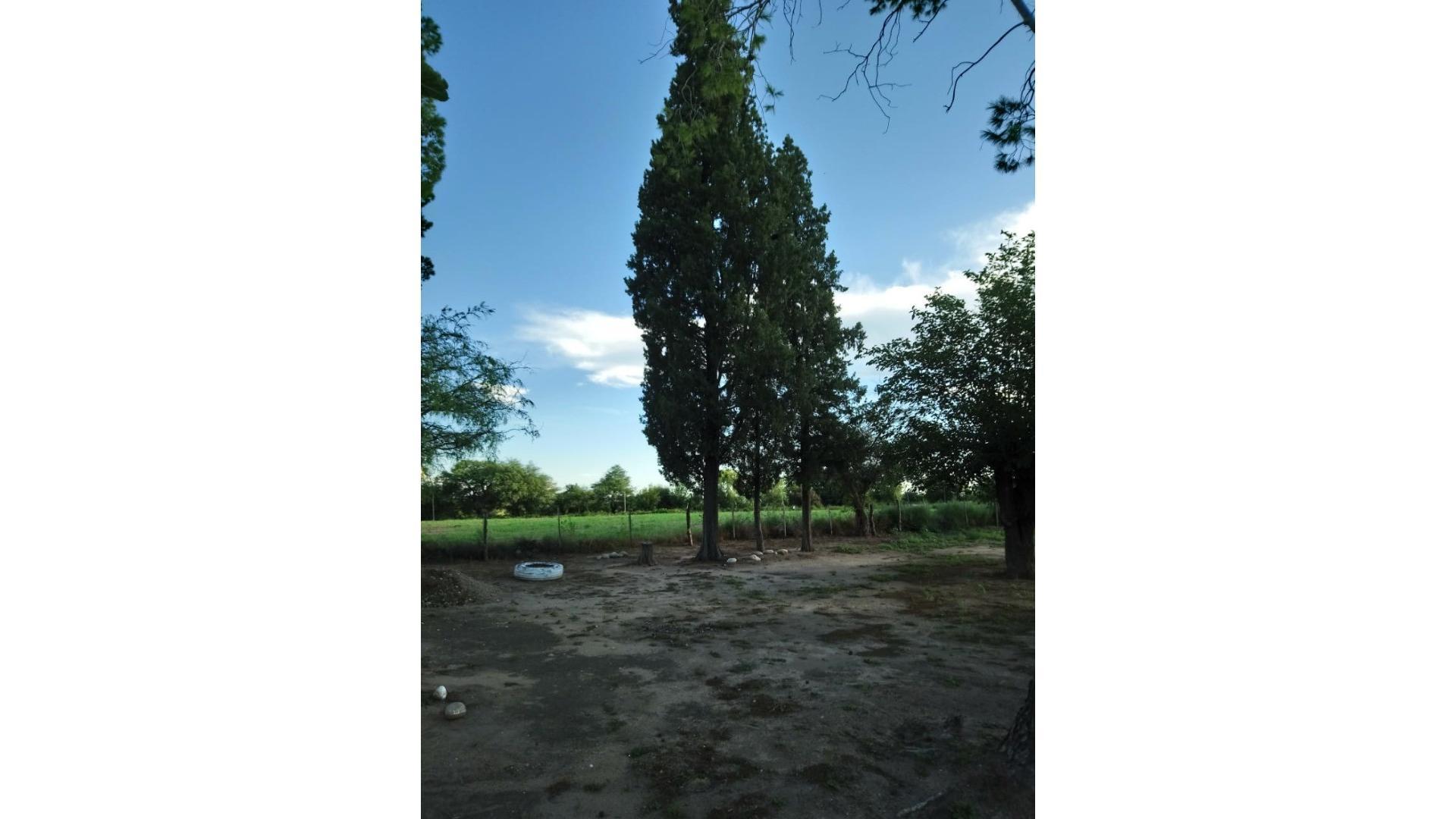 V. Dolores. Córdoba 2 3 Has