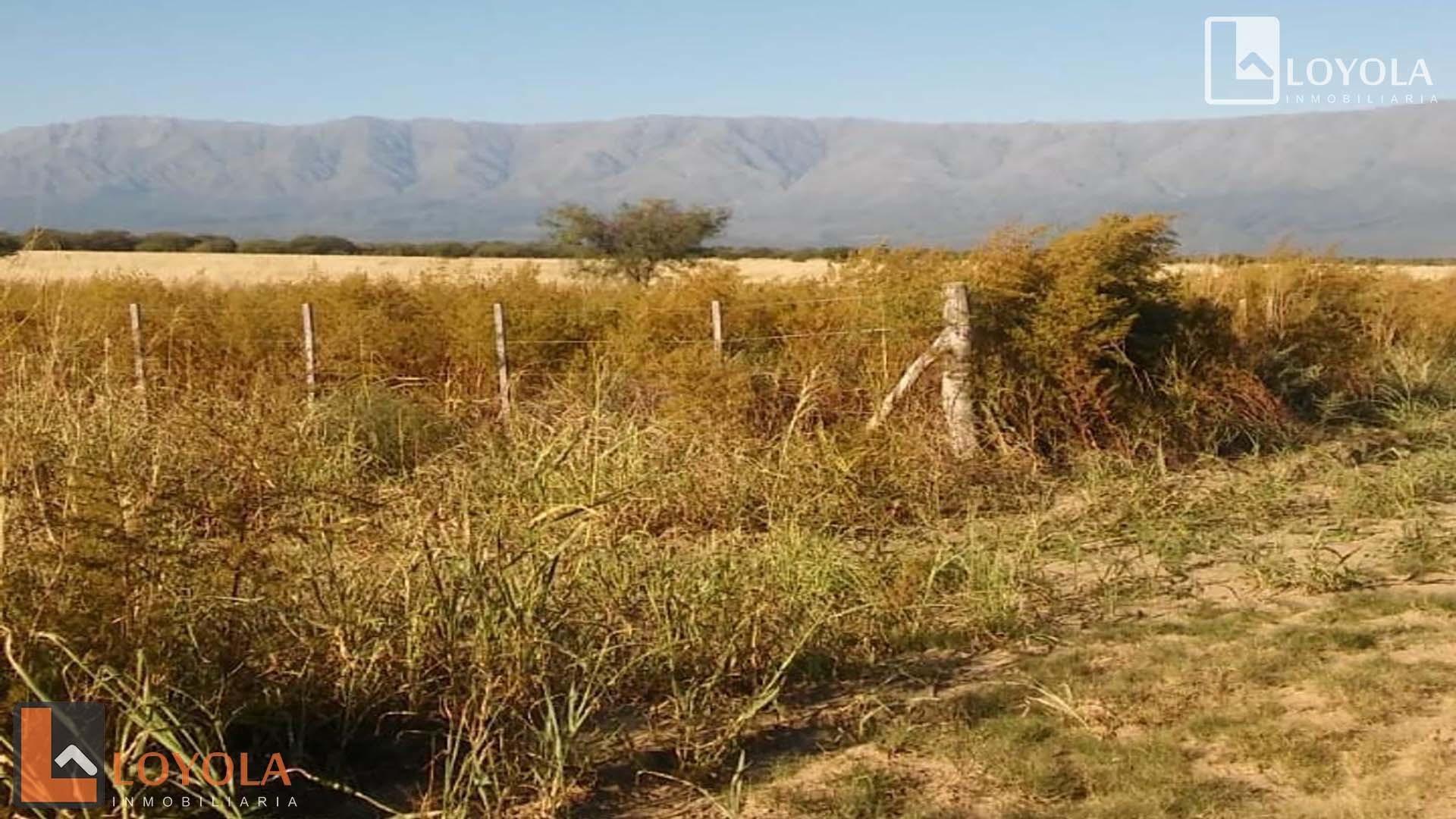 Campo en venta de 256 Hectáreas en Ruta 148 Luyaba, Cordoba