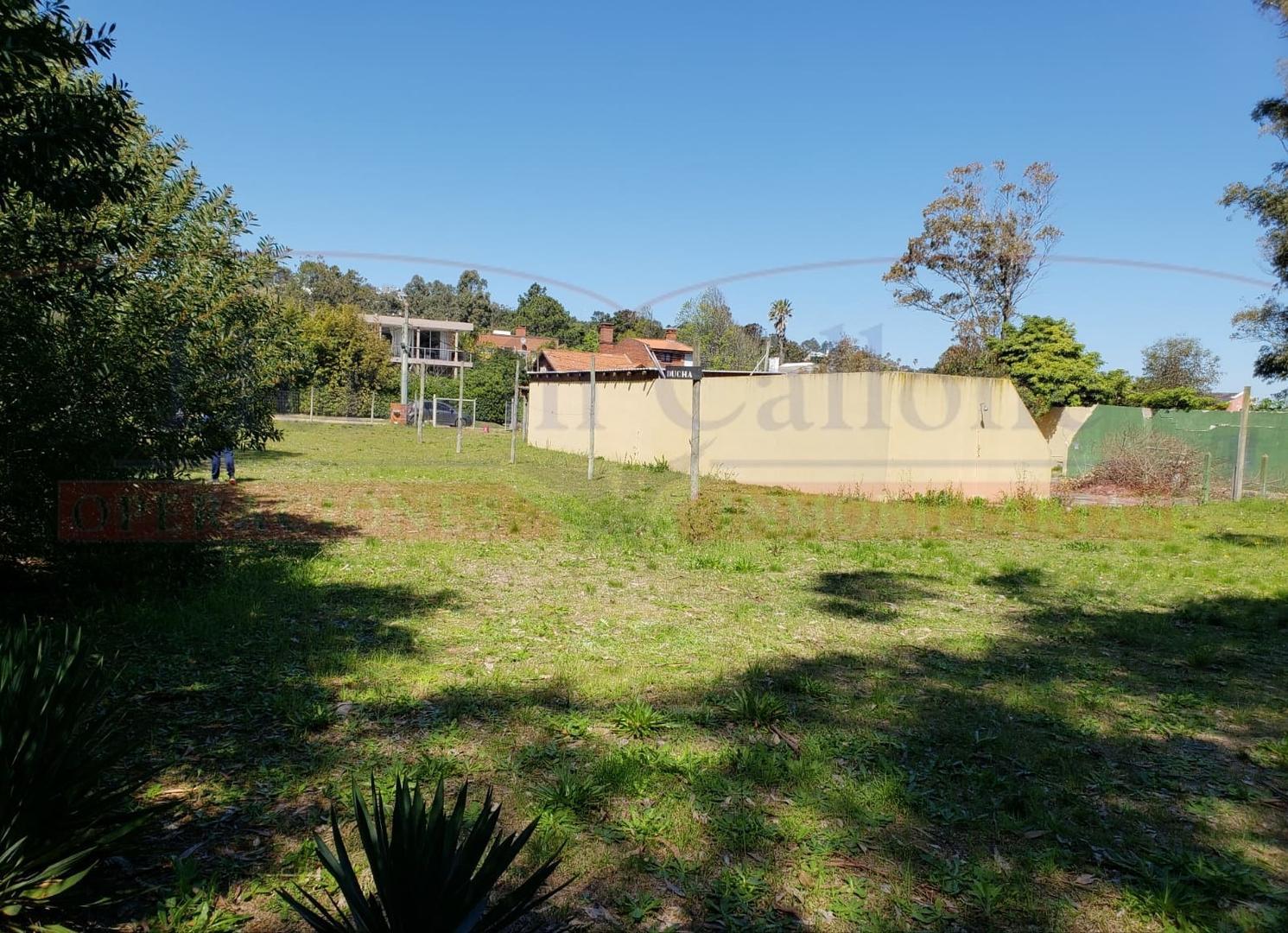 Av. Del Parador Viejo 2000