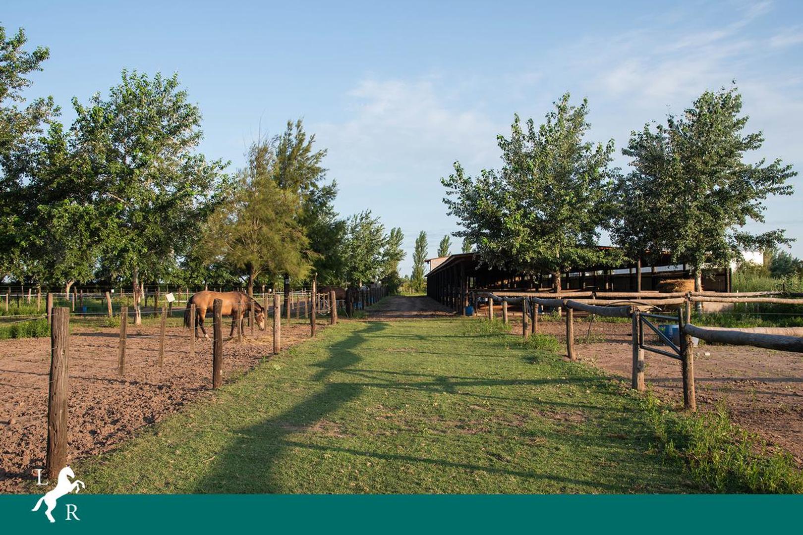 EN VENTA - LOTE N° 14 - LA RINCONADA, IBARLUCEA