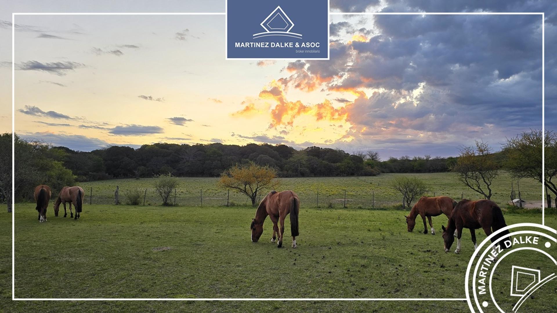 Agua de las Piedras - Campo de 6 Has con costa de Rio