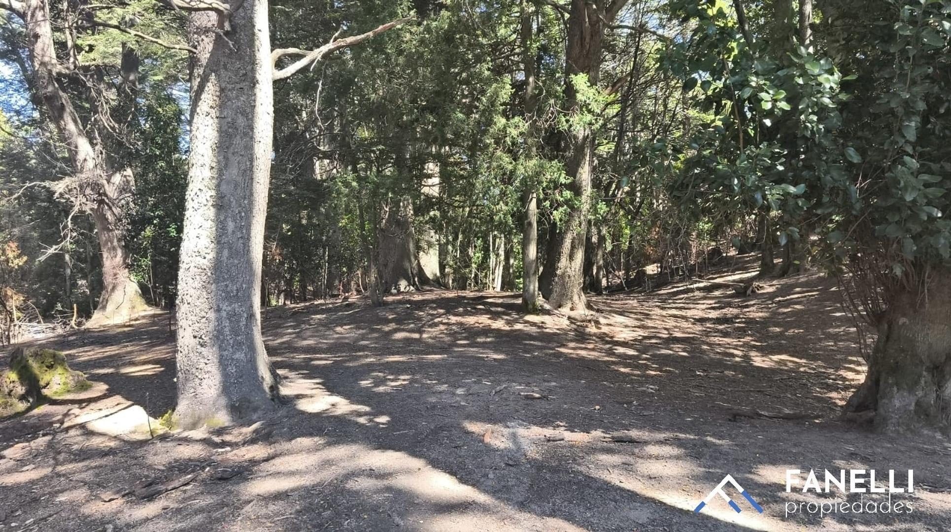 Terreno en Venta, FOS 15