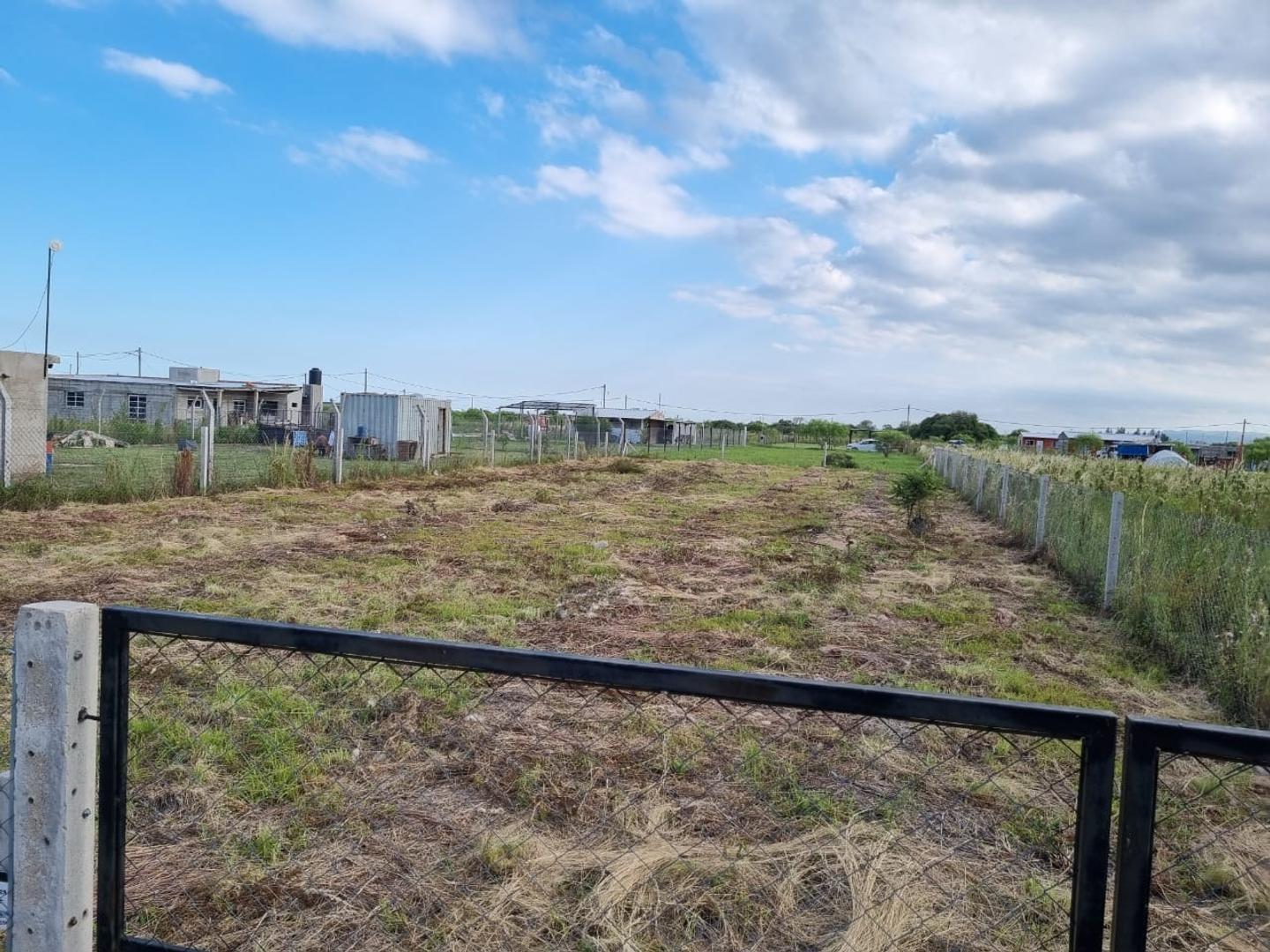 Alta Gracia, Los Olivares