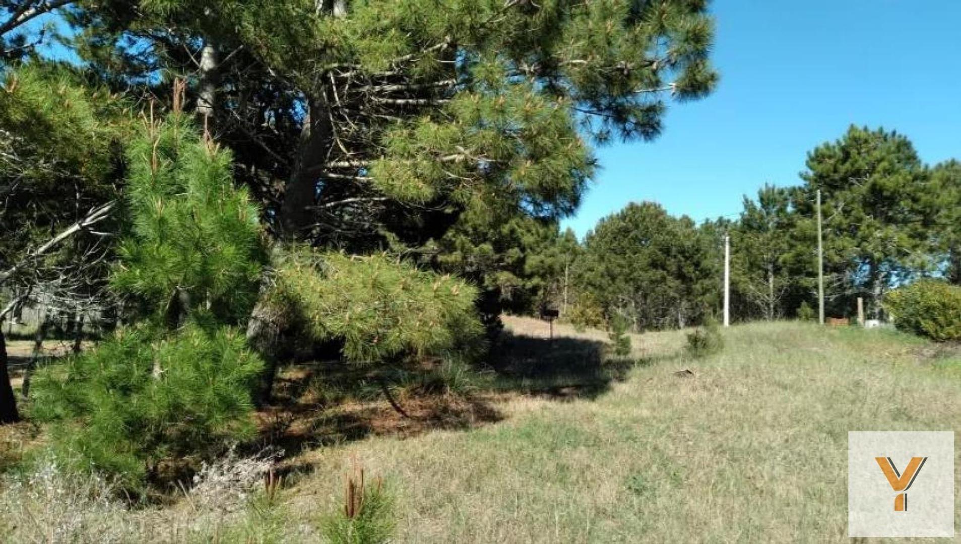 Terreno en Venta en Las Gaviotas, USD 38.000