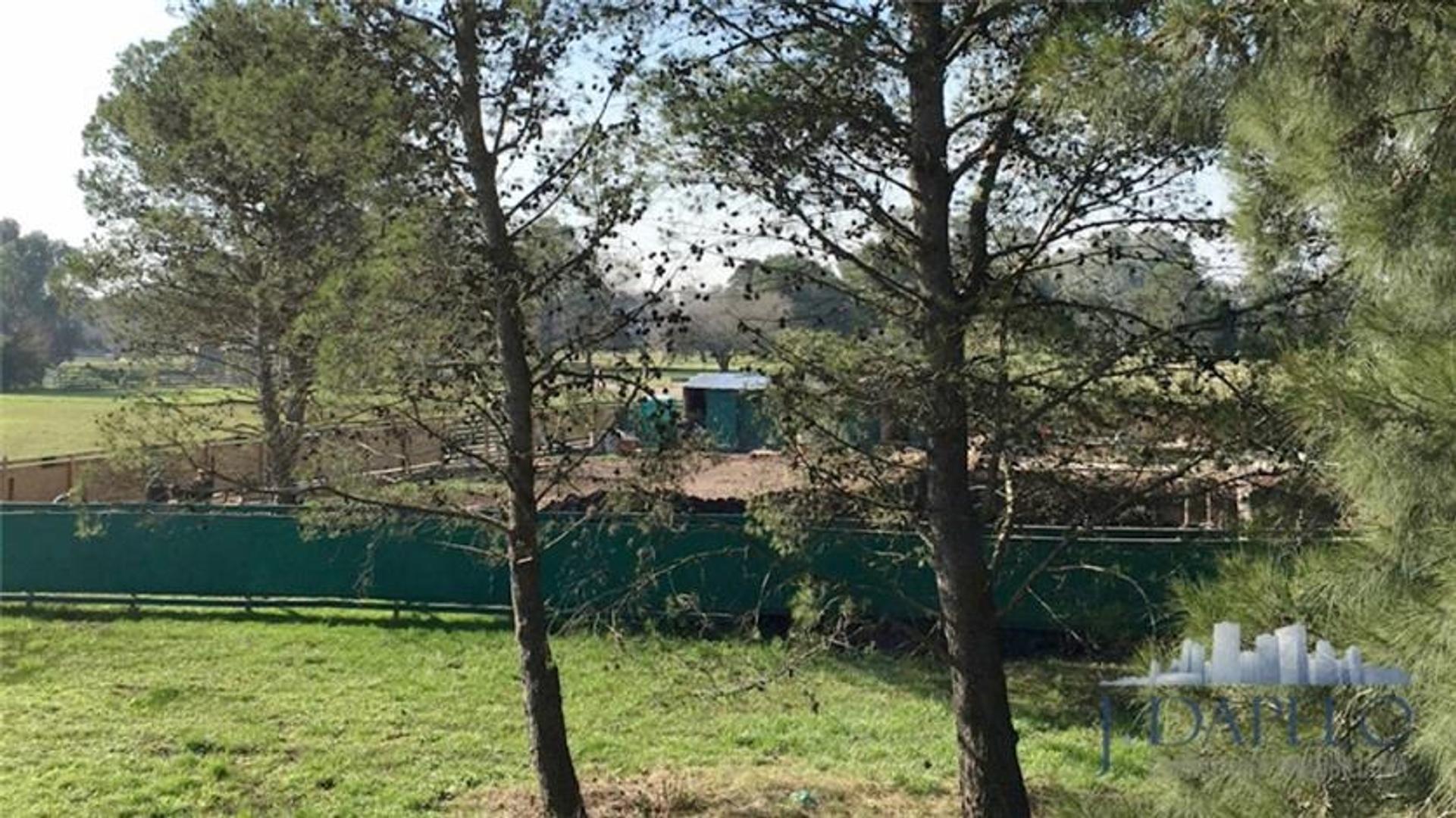 Ruta 205 Km, La Unión, Lomas Athletic 36.5