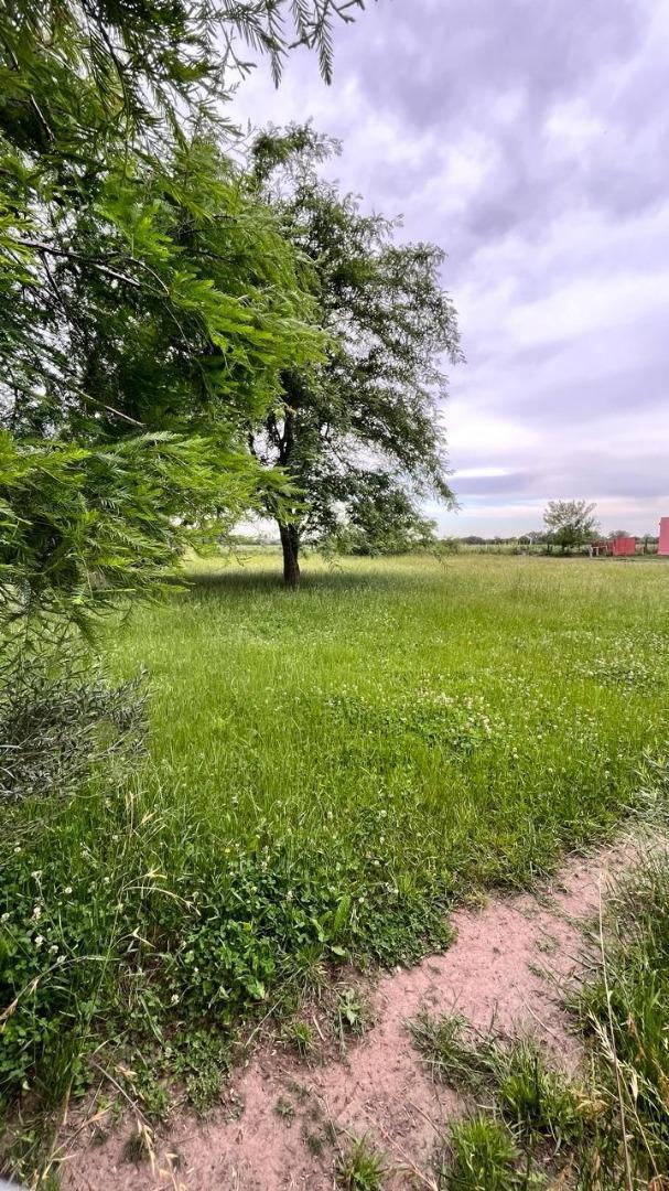 Terreno en Venta en Comarca del Sol, USD 59.000