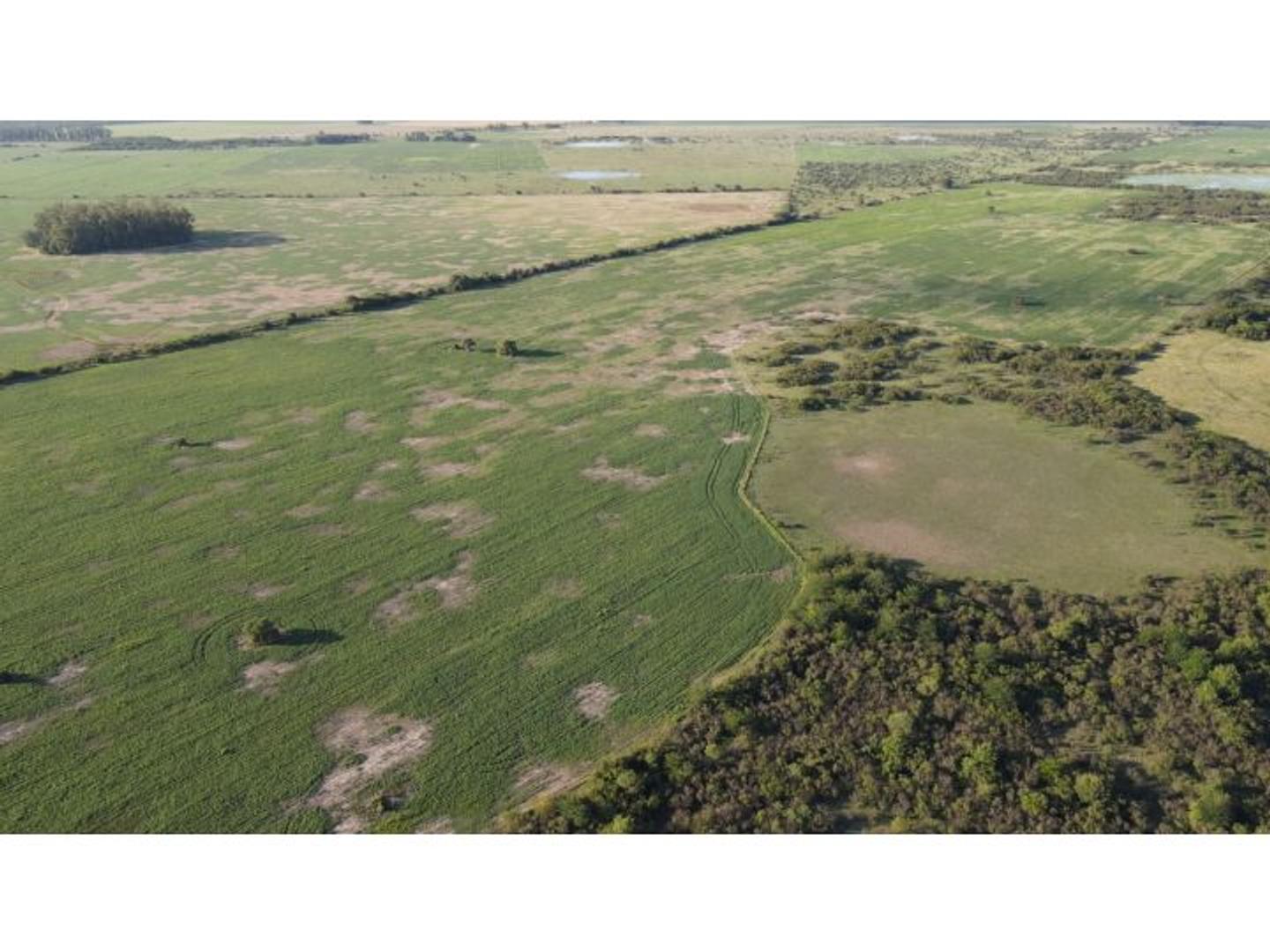 Campo mixto de 198 has, sexto Gualeguay