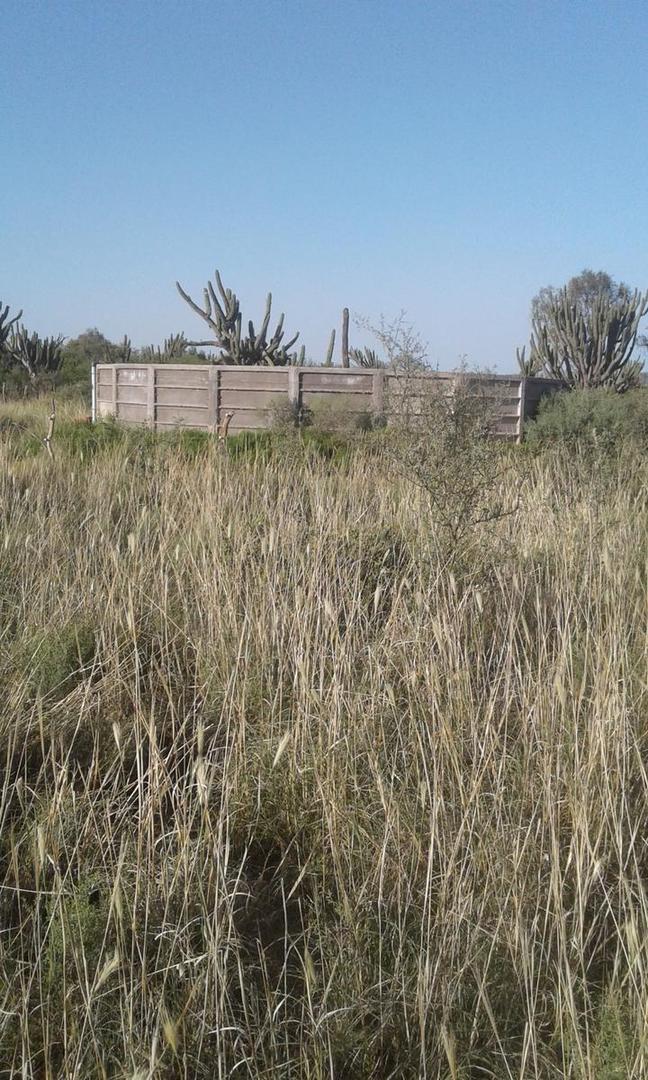 1000 ha en Venta - Herrera - Santiago del Estero