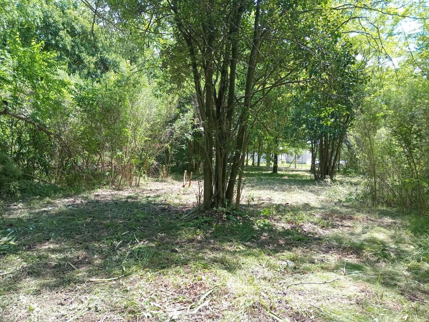 Excelente gran terreno en Comarca del Sol