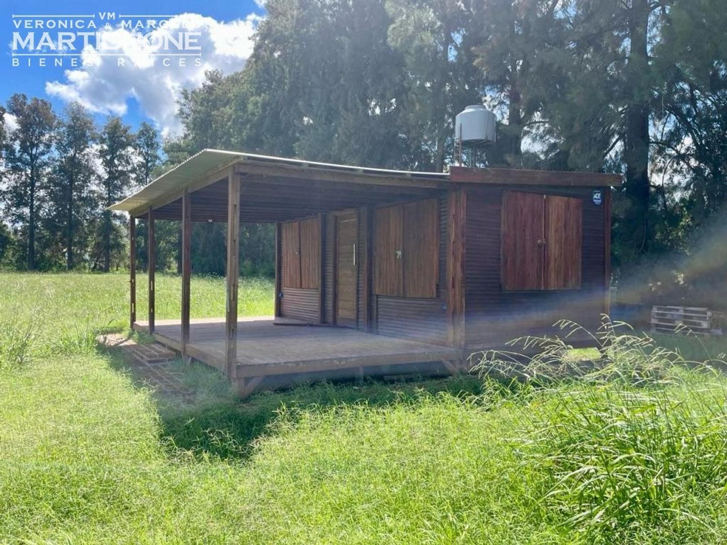 Manzanares Pilar - 1 ha con arboles